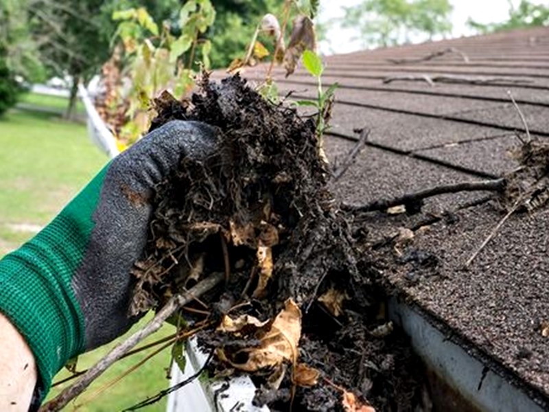 Service_Gutter_Cleaning_003_in_meryland