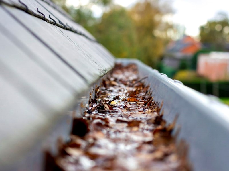 Service_Gutter_Cleaning_004_in_meryland